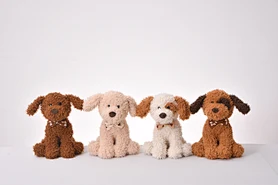 10 "4 color sitting dog